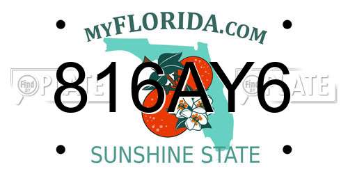 816AY6 Florida License Plate