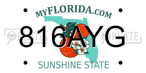 816AYG Florida License Plate