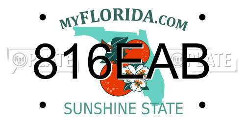 816EAB Florida License Plate