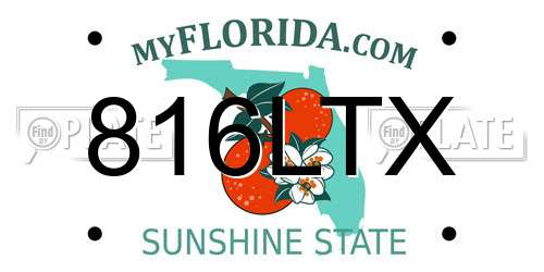 816LTX Florida License Plate