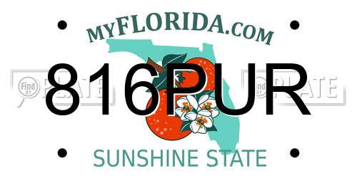 816PUR Florida License Plate