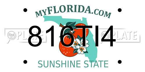 816TI4 Florida License Plate