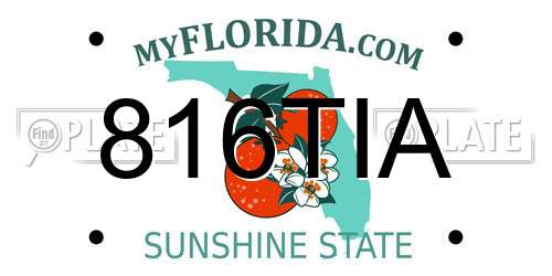 816TIA Florida License Plate
