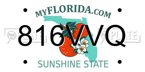 816VVQ Florida License Plate