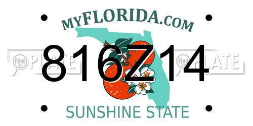 816Z14 Florida License Plate