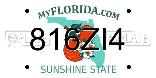 816ZI4 Florida License Plate