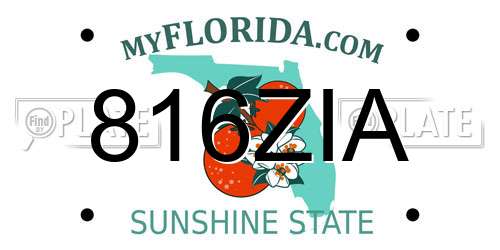 816ZIA Florida License Plate