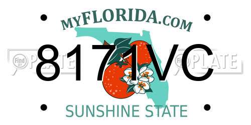 8171VC Florida License Plate