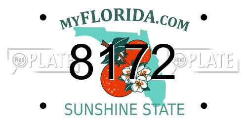 8172 Florida License Plate