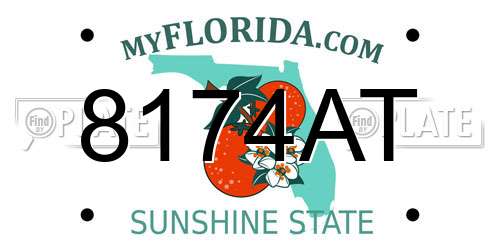 8174AT Florida License Plate