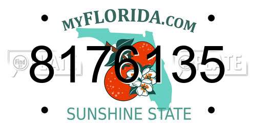 8176135 Florida License Plate