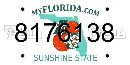8176138 Florida License Plate