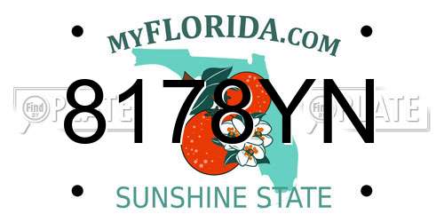 8178YN Florida License Plate