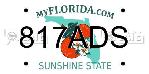817ADS Florida License Plate