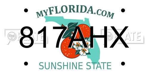 817AHX Florida License Plate