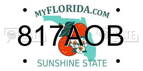 817AOB Florida License Plate