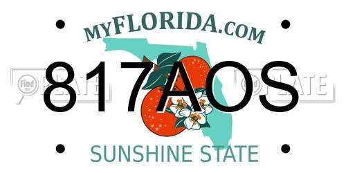 817AOS Florida License Plate