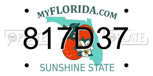 817D37 Florida License Plate