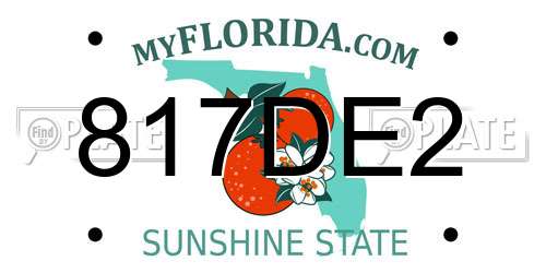 817DE2 Florida License Plate