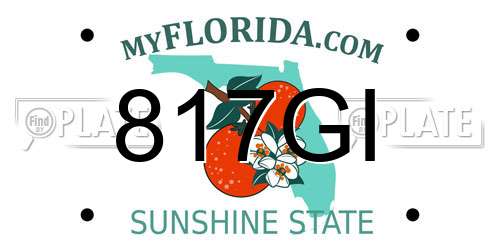 817GI Florida License Plate