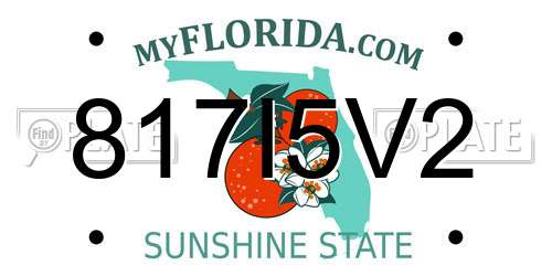 817I5V2 Florida License Plate