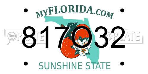 817O32 Florida License Plate
