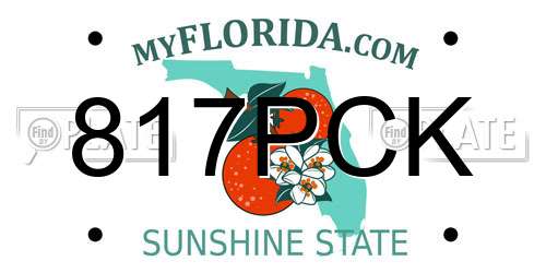 817PCK Florida License Plate