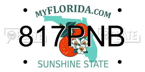 817PNB Florida License Plate