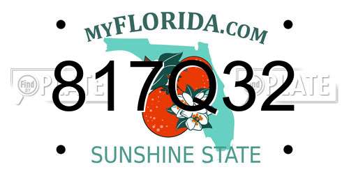 817Q32 Florida License Plate