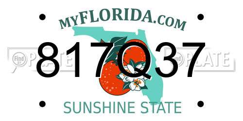 817Q37 Florida License Plate