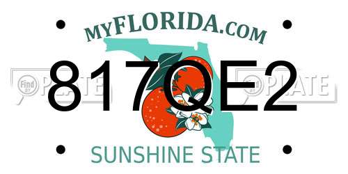 817QE2 Florida License Plate