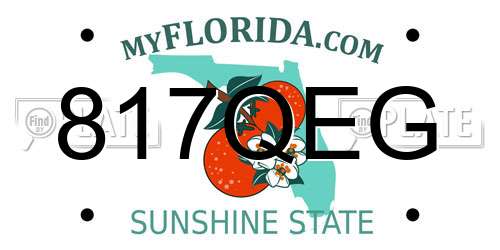 817QEG Florida License Plate
