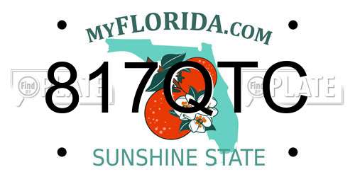 817QTC Florida License Plate