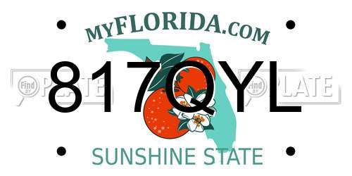 817QYL Florida License Plate