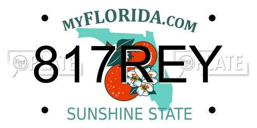 817REY Florida License Plate