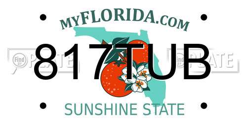 817TUB Florida License Plate