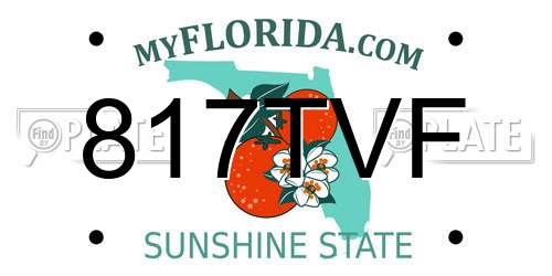 817TVF Florida License Plate