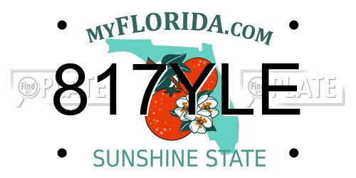 817YLE Florida License Plate