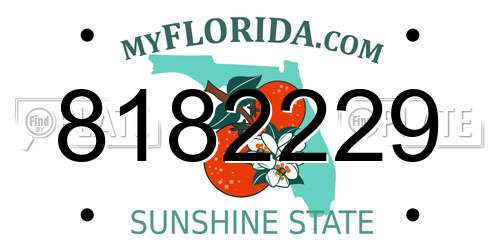 8182229 Florida License Plate