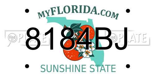 8184BJ Florida License Plate
