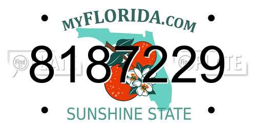 8187229 Florida License Plate