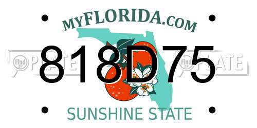 818D75 Florida License Plate