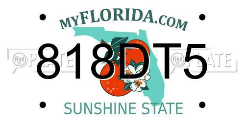 818DT5 Florida License Plate