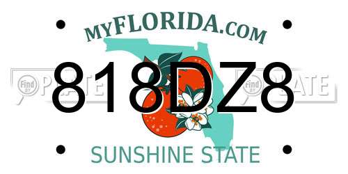 818DZ8 Florida License Plate