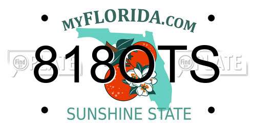 818OTS Florida License Plate