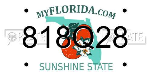 818Q28 Florida License Plate