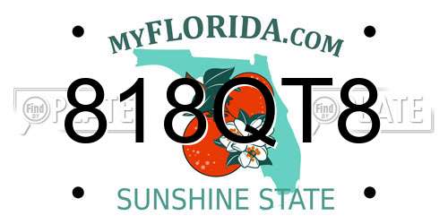 818QT8 Florida License Plate