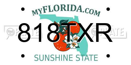818TXR Florida License Plate