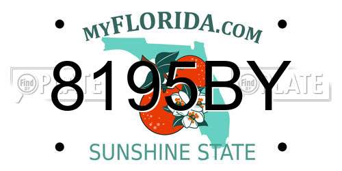 8195BY Florida License Plate