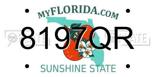 8197QR Florida License Plate